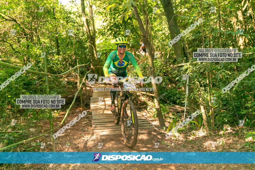 Circuito AEJ de Mountain Bike 2022