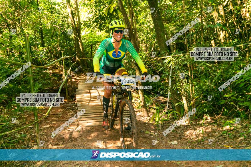 Circuito AEJ de Mountain Bike 2022