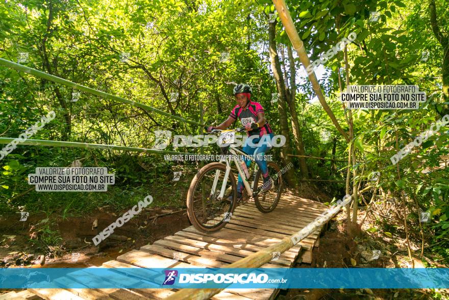 Circuito AEJ de Mountain Bike 2022