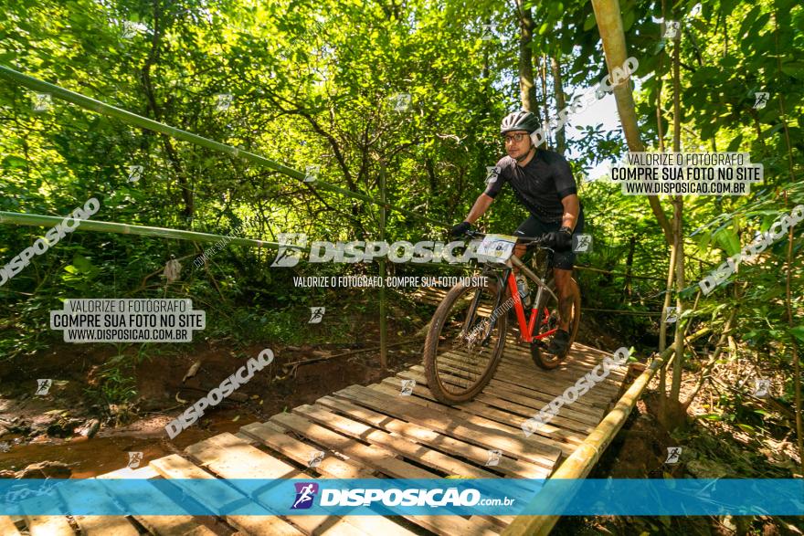 Circuito AEJ de Mountain Bike 2022