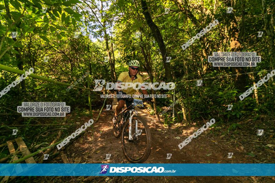 Circuito AEJ de Mountain Bike 2022