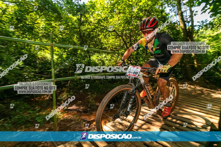 Circuito AEJ de Mountain Bike 2022