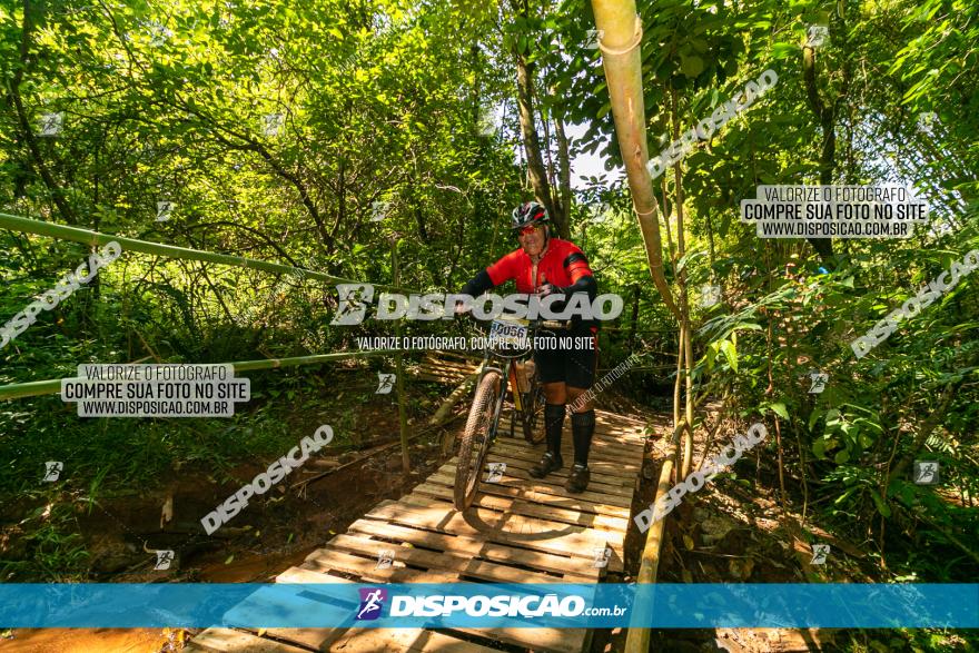 Circuito AEJ de Mountain Bike 2022