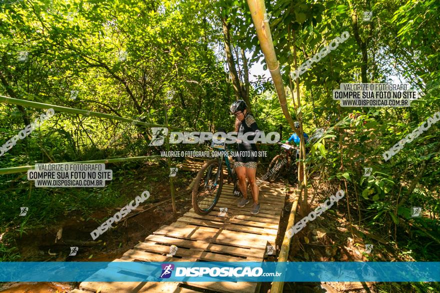 Circuito AEJ de Mountain Bike 2022