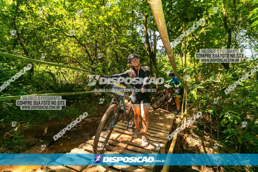 Circuito AEJ de Mountain Bike 2022