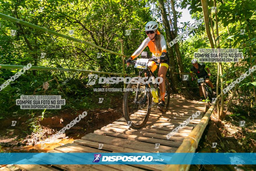 Circuito AEJ de Mountain Bike 2022