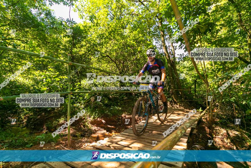 Circuito AEJ de Mountain Bike 2022