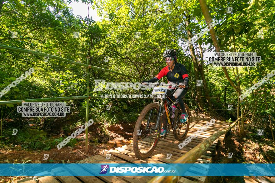 Circuito AEJ de Mountain Bike 2022