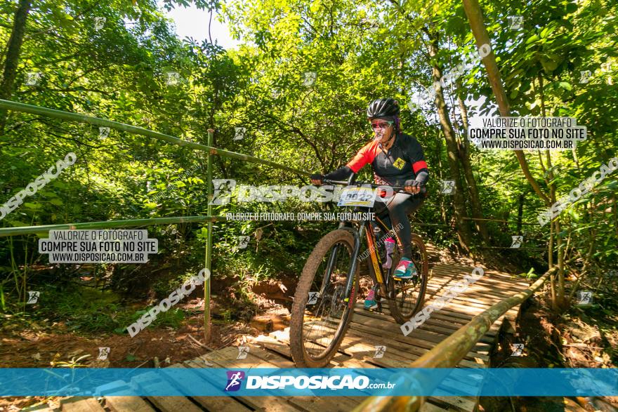 Circuito AEJ de Mountain Bike 2022