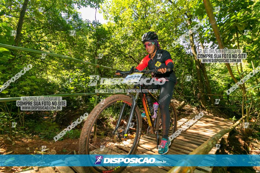 Circuito AEJ de Mountain Bike 2022