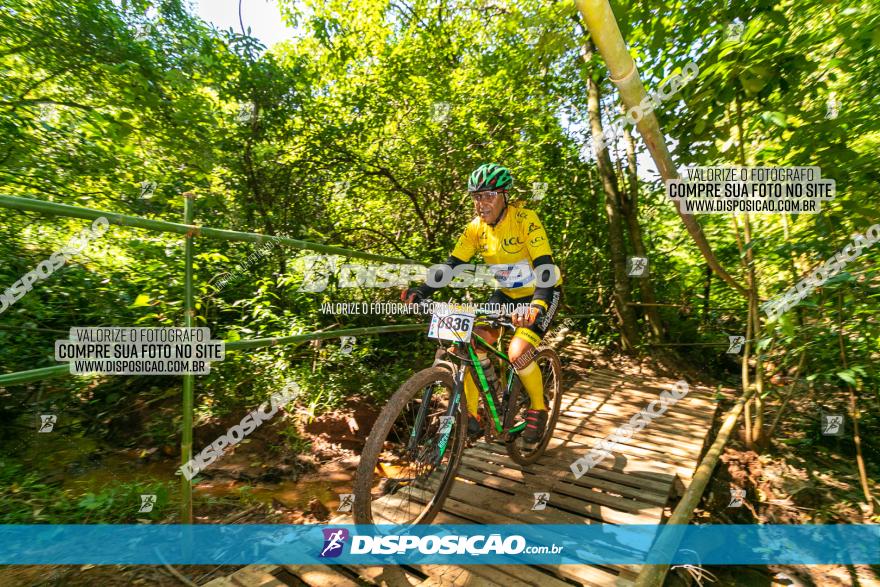 Circuito AEJ de Mountain Bike 2022