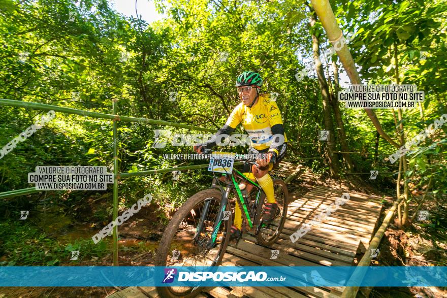 Circuito AEJ de Mountain Bike 2022