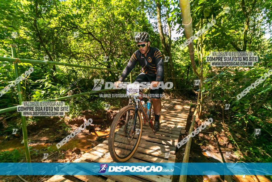 Circuito AEJ de Mountain Bike 2022