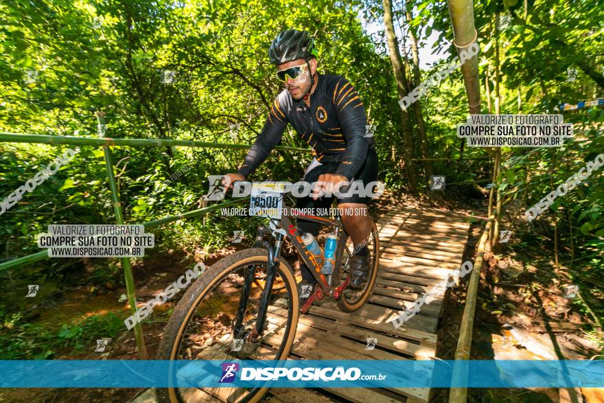 Circuito AEJ de Mountain Bike 2022