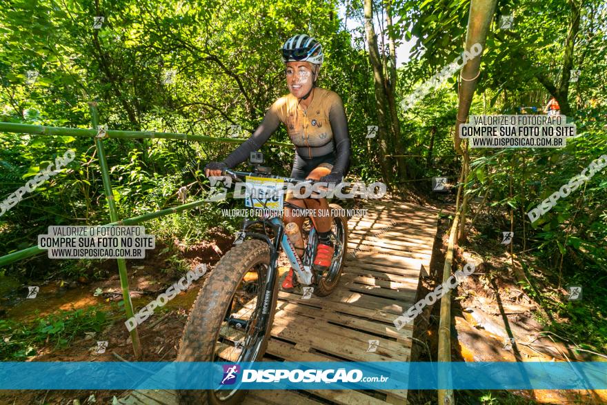 Circuito AEJ de Mountain Bike 2022