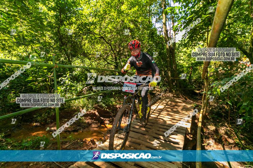 Circuito AEJ de Mountain Bike 2022