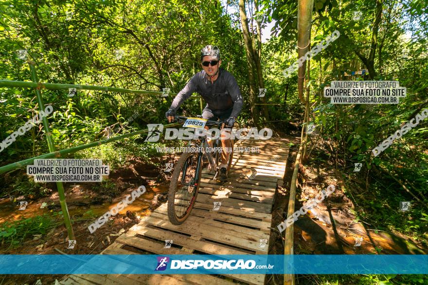 Circuito AEJ de Mountain Bike 2022