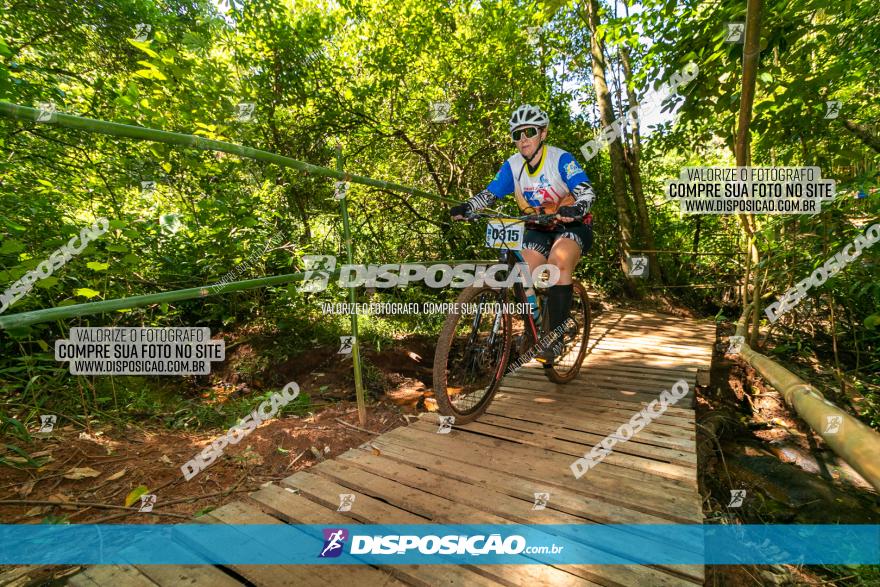 Circuito AEJ de Mountain Bike 2022