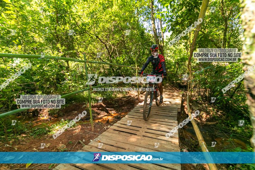 Circuito AEJ de Mountain Bike 2022