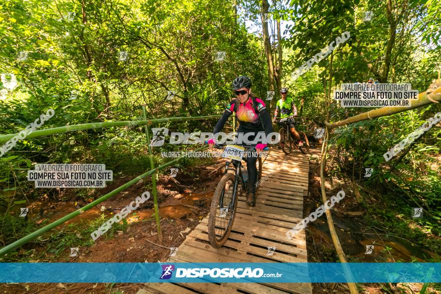 Circuito AEJ de Mountain Bike 2022