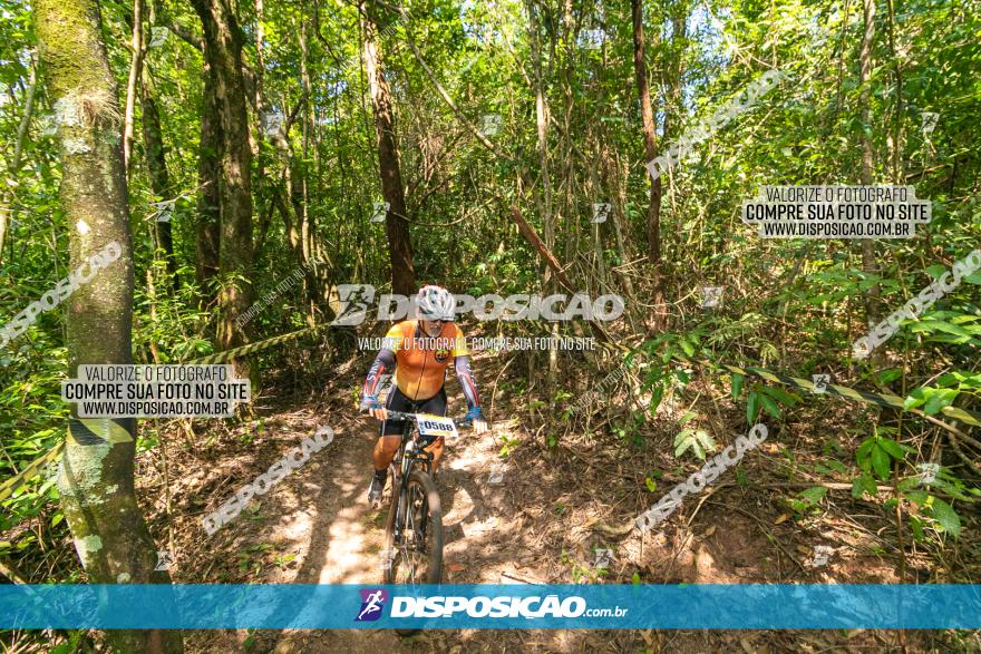 Circuito AEJ de Mountain Bike 2022