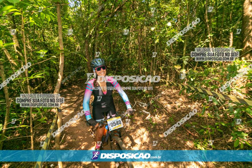 Circuito AEJ de Mountain Bike 2022