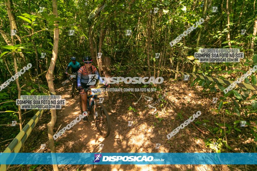 Circuito AEJ de Mountain Bike 2022