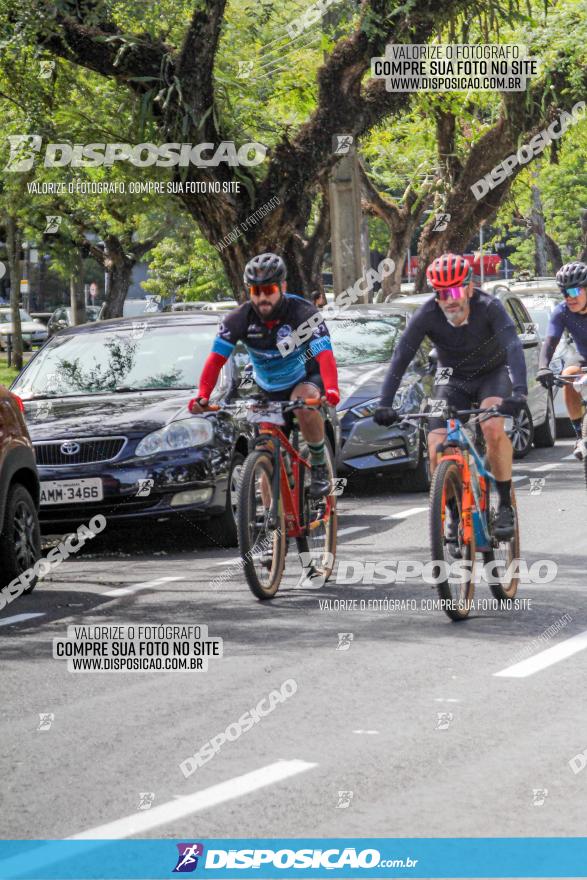 Rota das Catedrais 2022