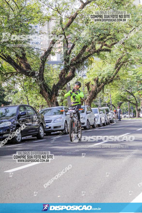 Rota das Catedrais 2022