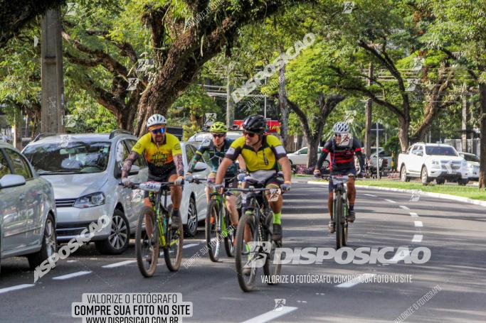 Rota das Catedrais 2022