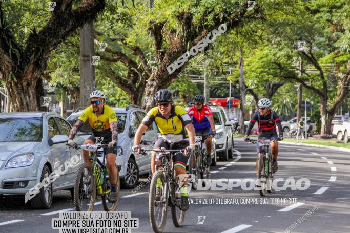 Rota das Catedrais 2022