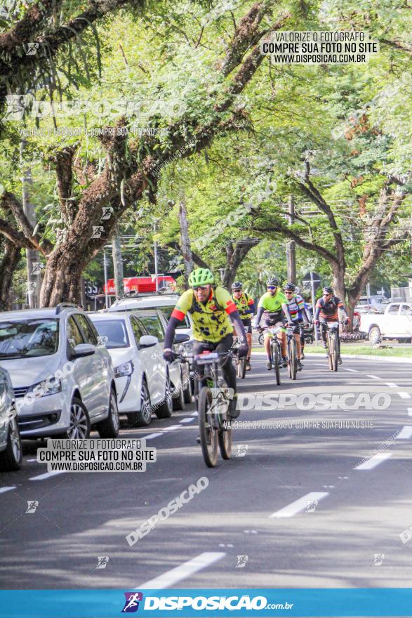 Rota das Catedrais 2022