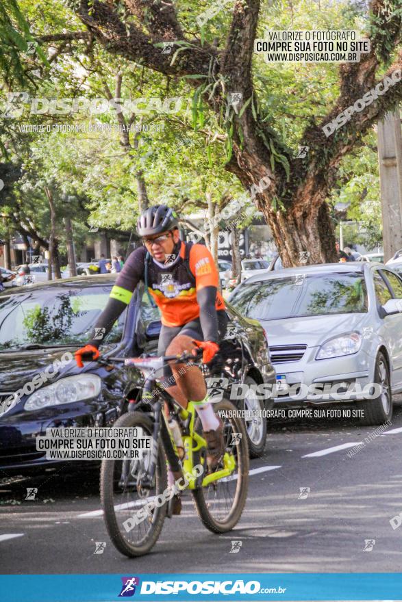 Rota das Catedrais 2022