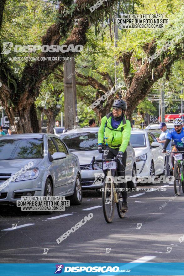 Rota das Catedrais 2022