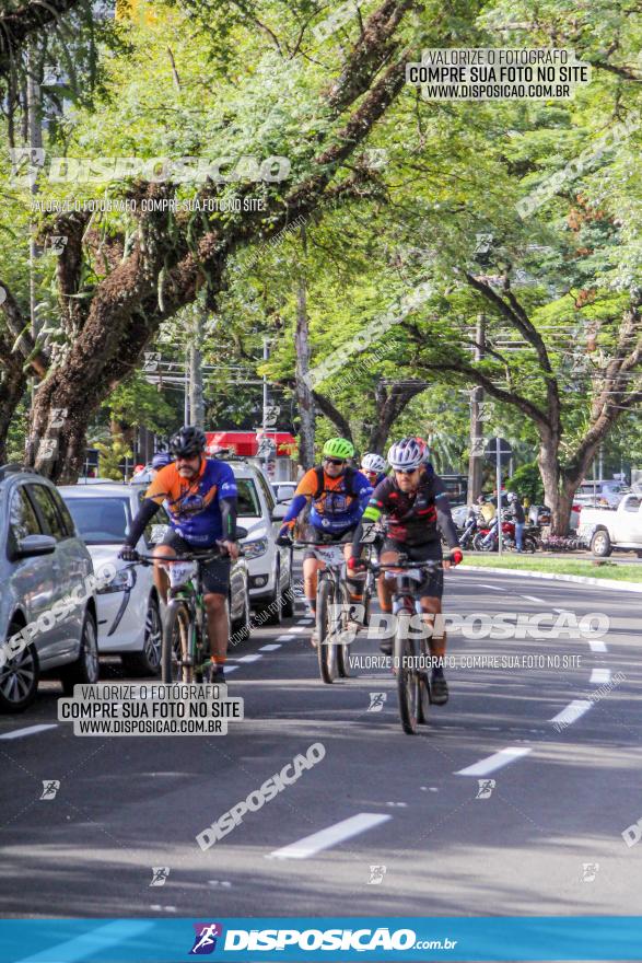 Rota das Catedrais 2022