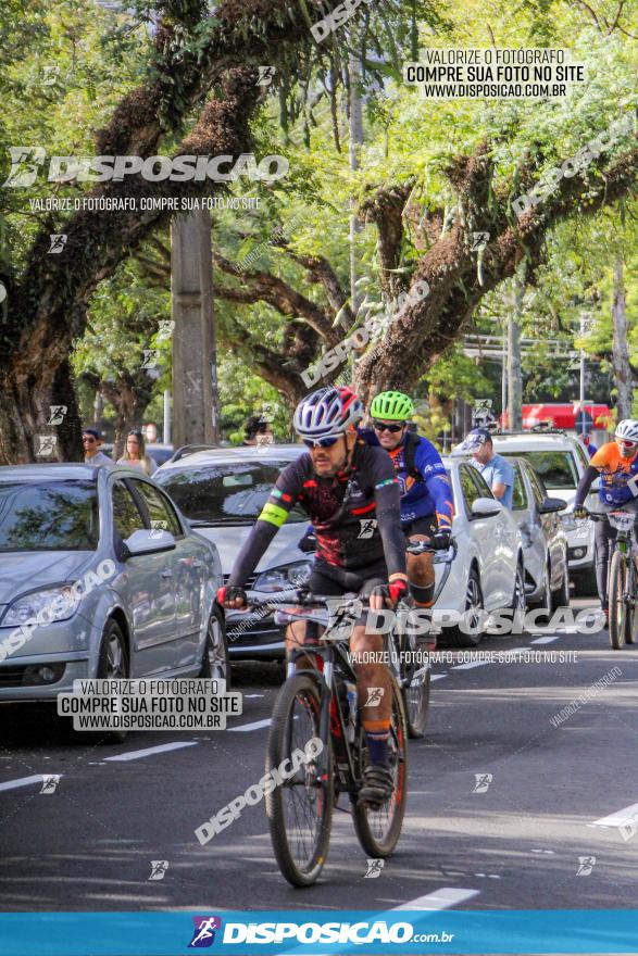 Rota das Catedrais 2022