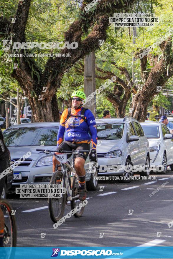 Rota das Catedrais 2022