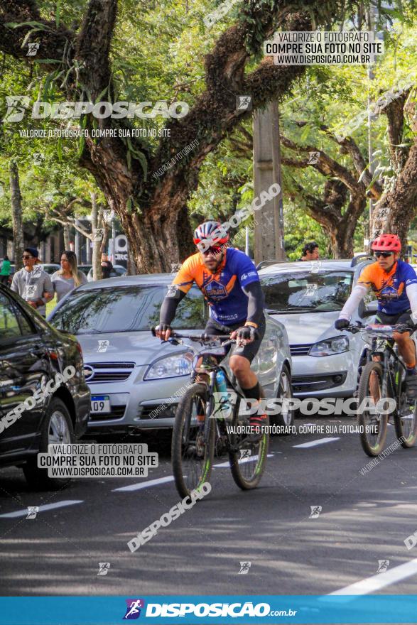 Rota das Catedrais 2022