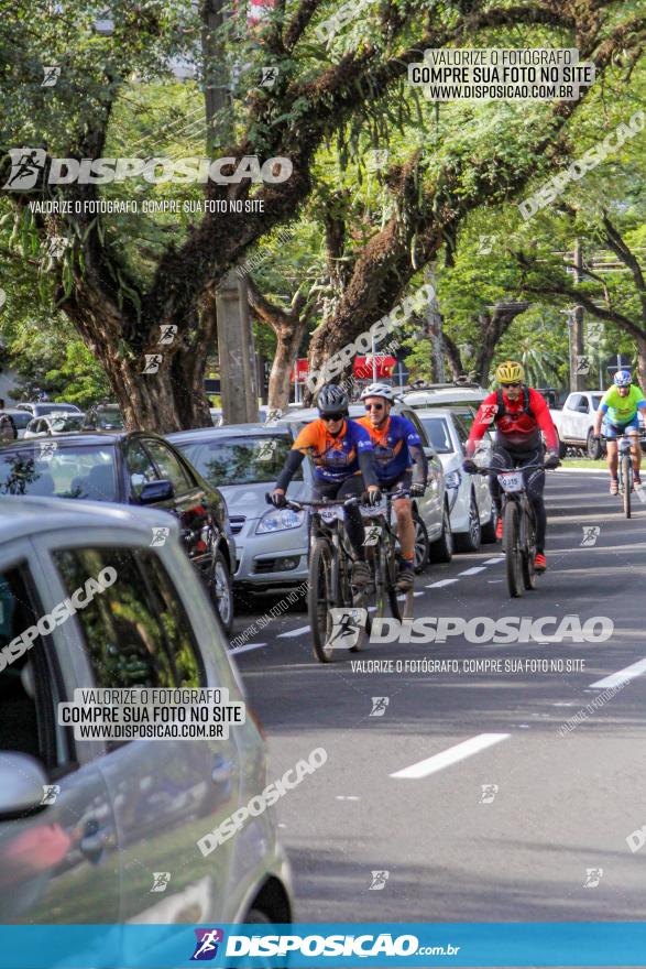 Rota das Catedrais 2022