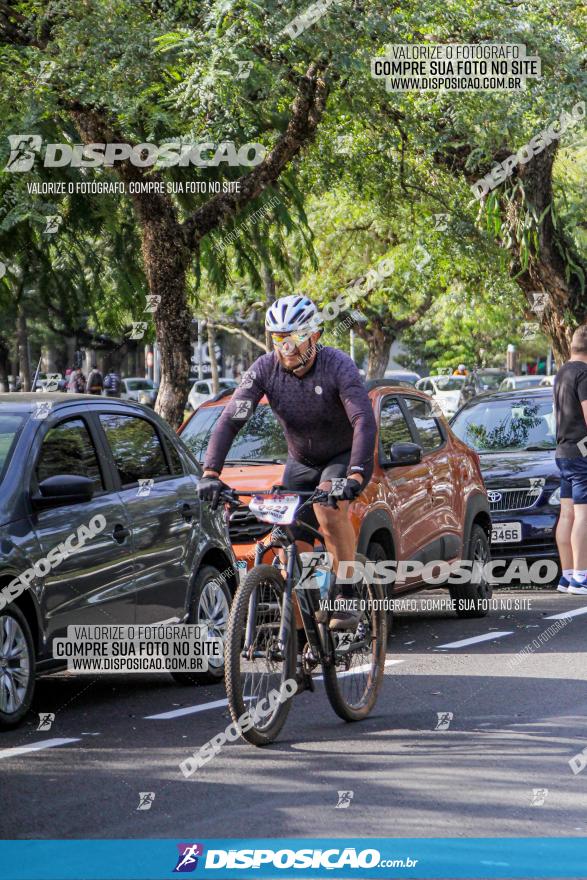 Rota das Catedrais 2022