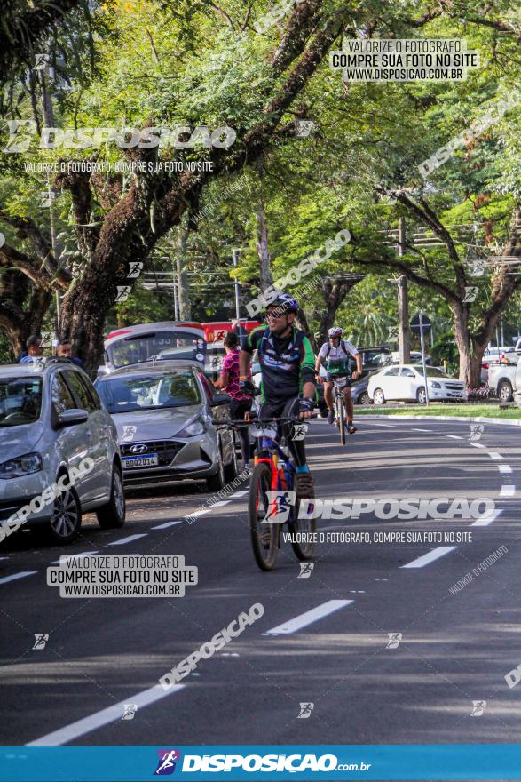 Rota das Catedrais 2022