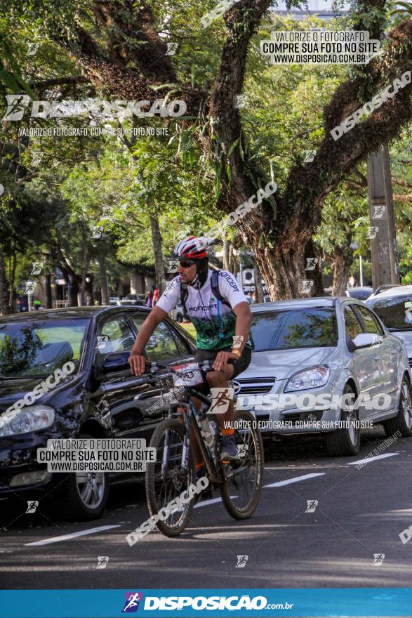 Rota das Catedrais 2022