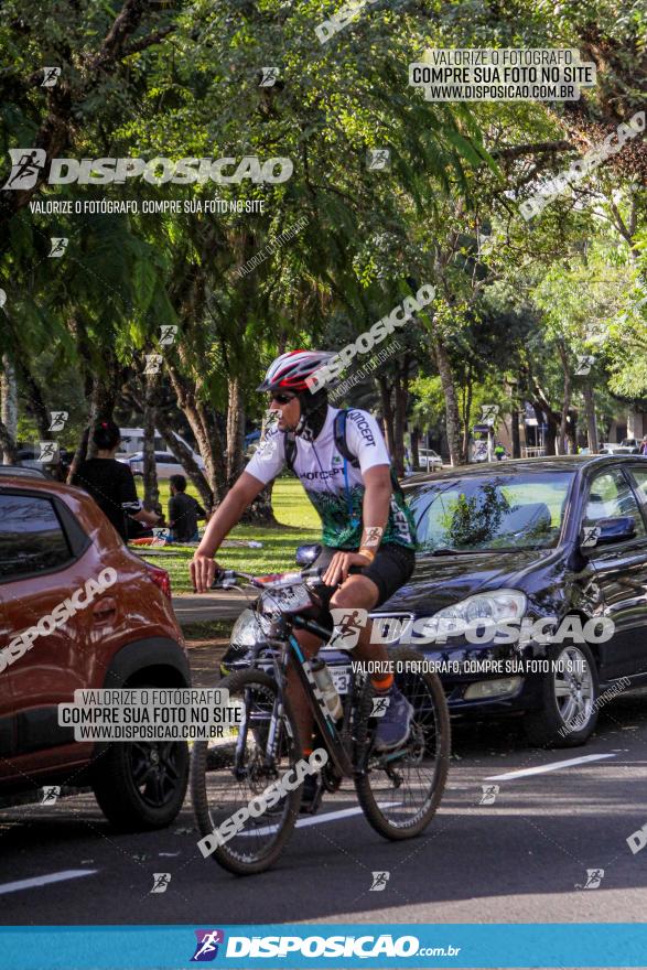 Rota das Catedrais 2022