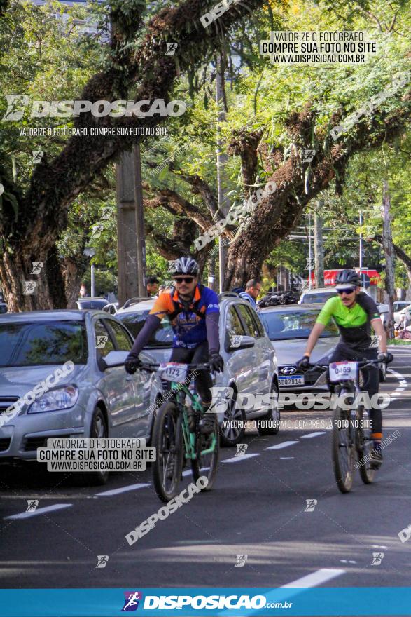 Rota das Catedrais 2022