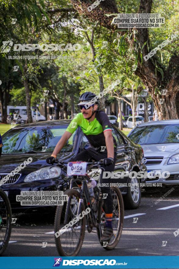 Rota das Catedrais 2022