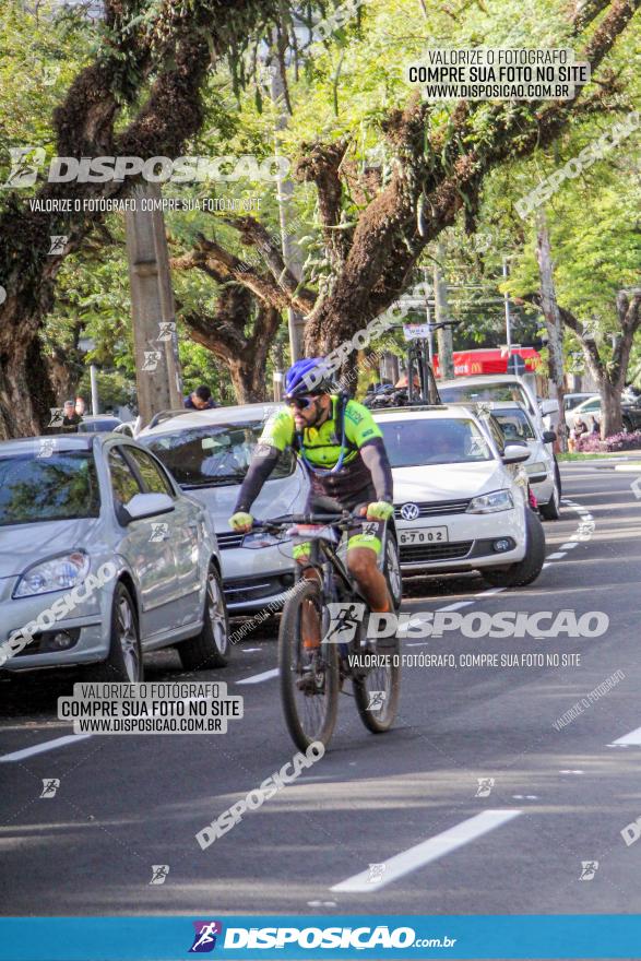 Rota das Catedrais 2022