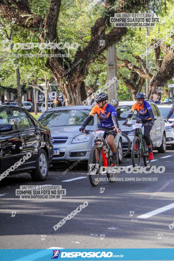 Rota das Catedrais 2022