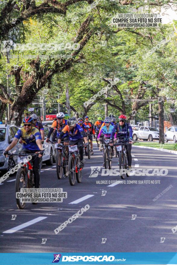 Rota das Catedrais 2022