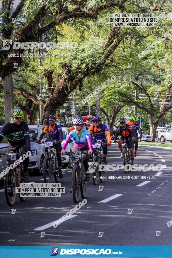 Rota das Catedrais 2022