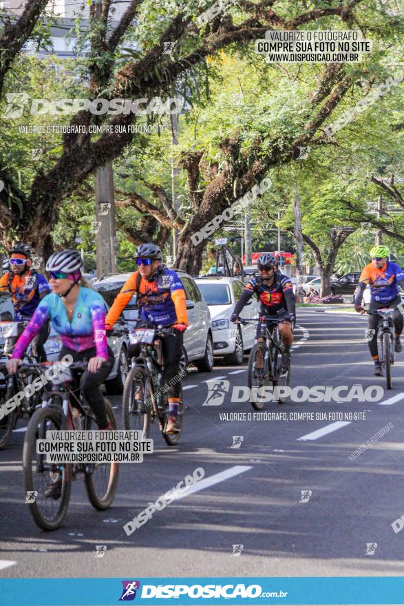 Rota das Catedrais 2022